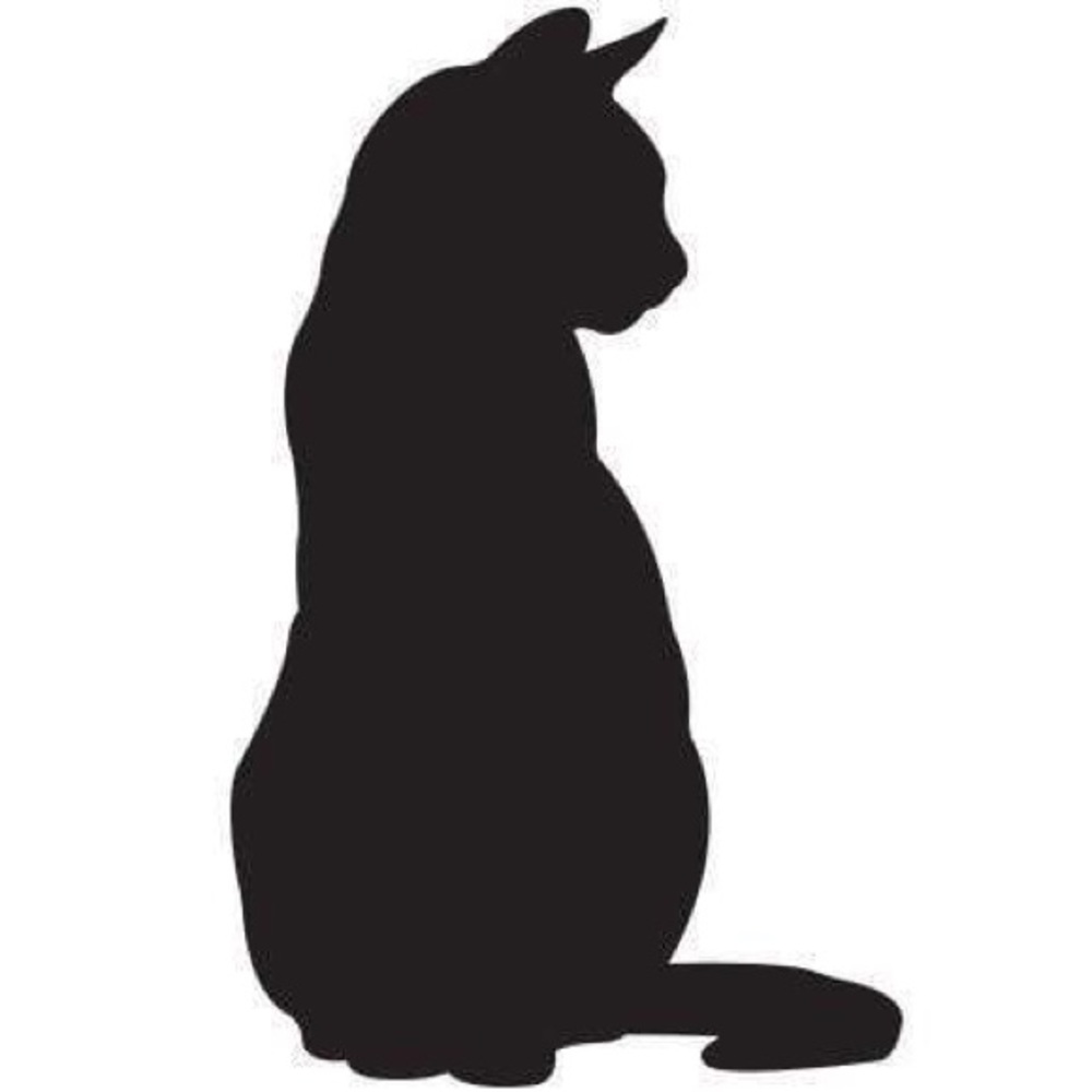 Meet your Posher, Style Cat
